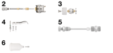 3258_CARg04g05vw
