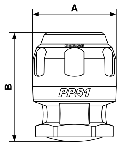 PPS1_BO