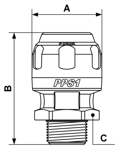 PPS1_MM