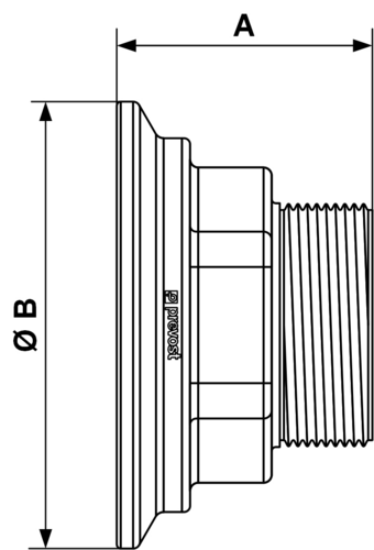 PPS1_MT
