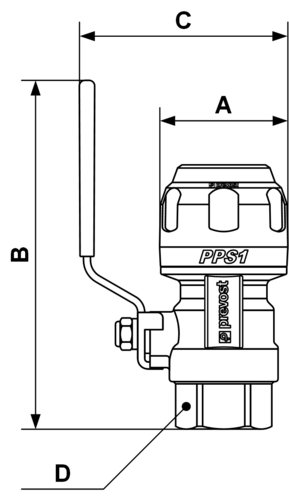 PPS1_RSIF