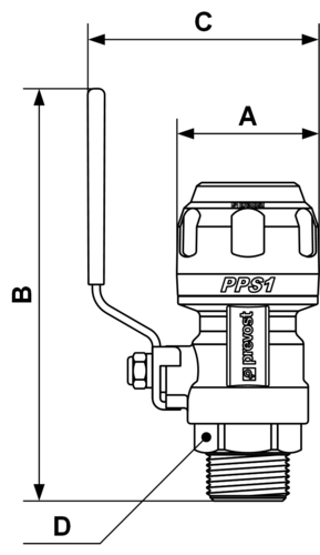 PPS1_RSIM