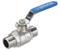 471_RSIM